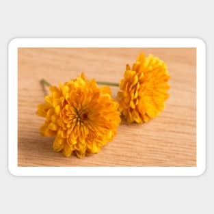 Yellow small flowers Sticker